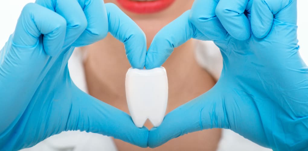 A dentist holds a model of a tooth between her fingers as she creates a heart with her hands